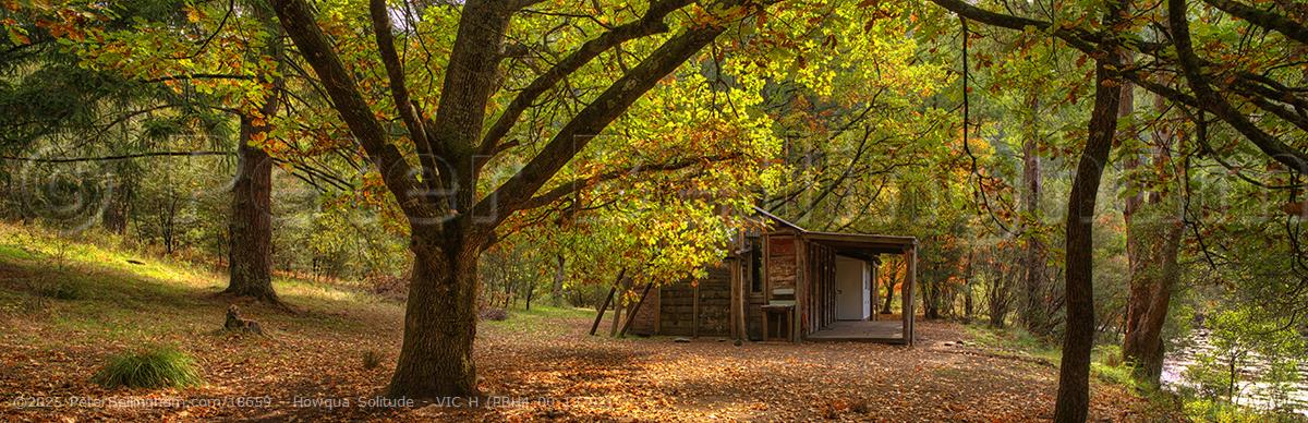 Peter Bellingham Photography Howqua Solitude - VIC H (PBH4 00 13792)